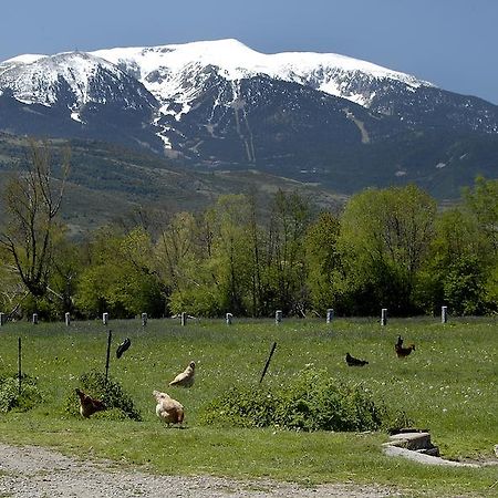 Mas Mallol Puigcerdà Kültér fotó