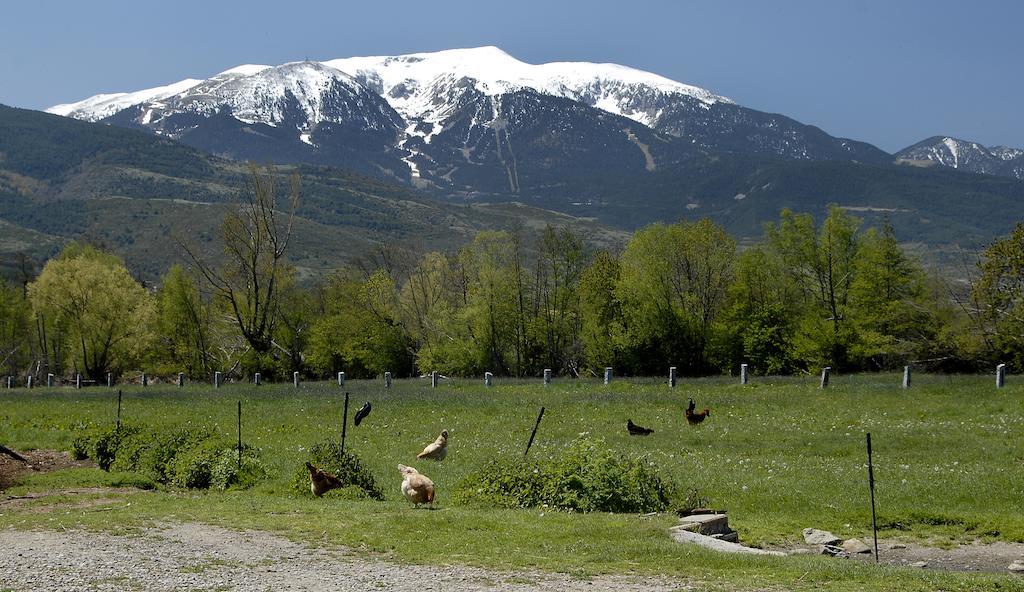 Mas Mallol Puigcerdà Kültér fotó